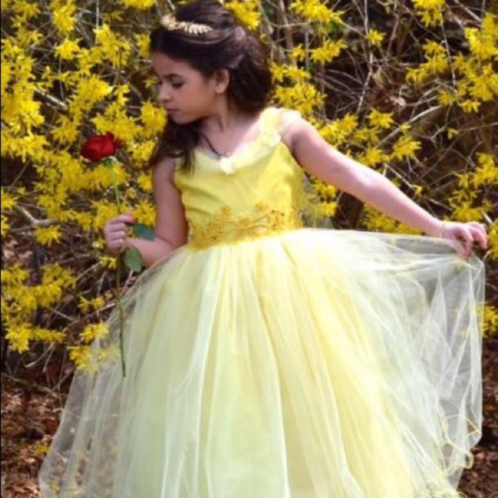Imitated belle Costume dress